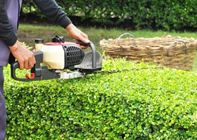 Hedge Trimming