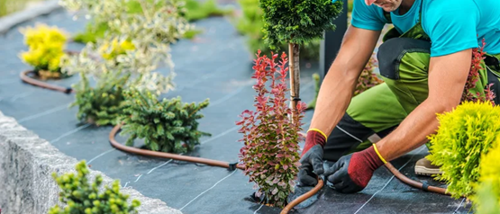 Landscaping Service landscaping Service